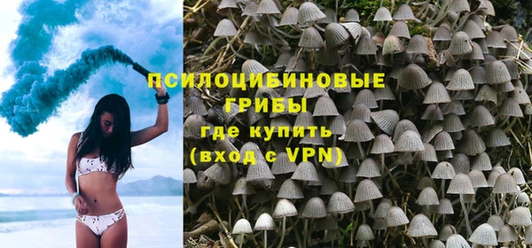 трава Бородино