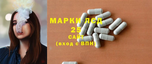 шишки Богородск